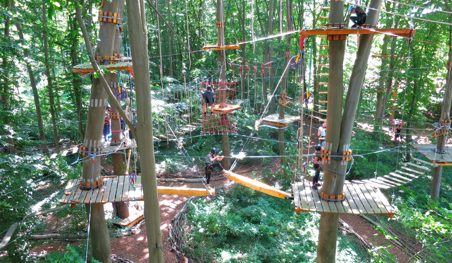 Climbing forest overview, © Michael Schicha