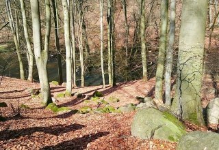 Rocks of various sizes are found in the Warnow breakthrough valley, © TMV