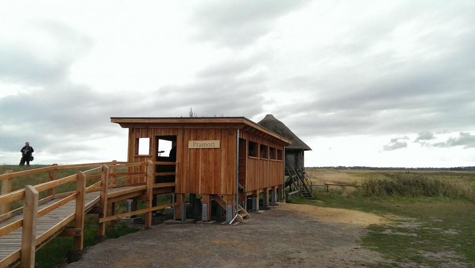 Accessible crane observation platform Pramort, © Nationalparkamt Vorpommern