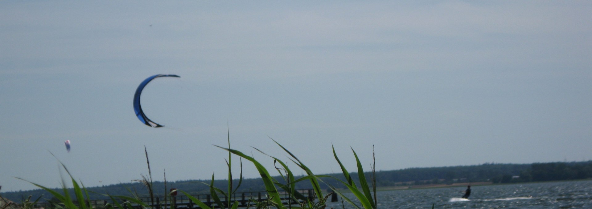 Coast and forest by Ludwigsburg beach, © Tourismusverband Vorpommern e.V.