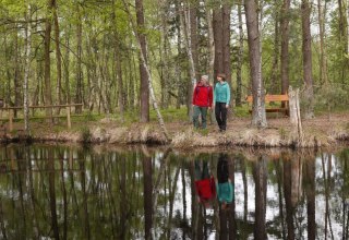 Hiker at the moor lake in the Great Ribnitz Moor, © TMV/outdoor-visions.com