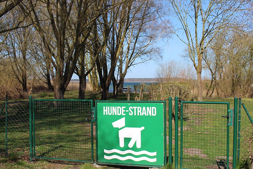 Fenced dog area, © Kur- und Tourismus GmbH Göhren-Lebbin