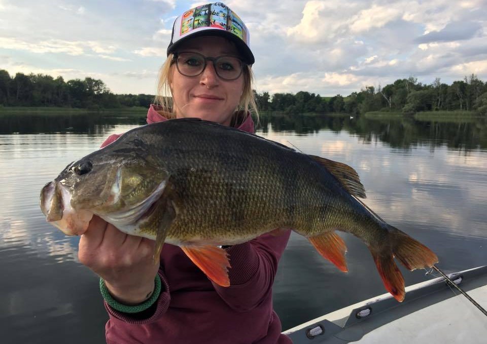 Magnificent perch from a remote lake in Mecklenburg-Vorpommern, © Sebastian Schlötels