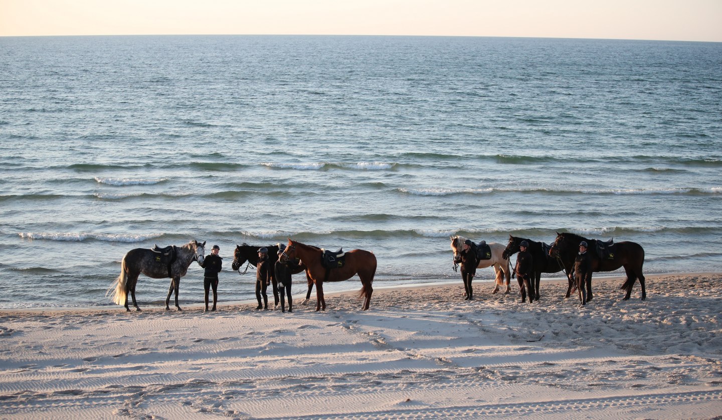 Riding on the beach, © TMV/ACP Pantel