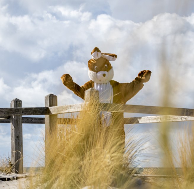 © André Pristaff / Tourismus- und Kur GmbH Graal-Müritz