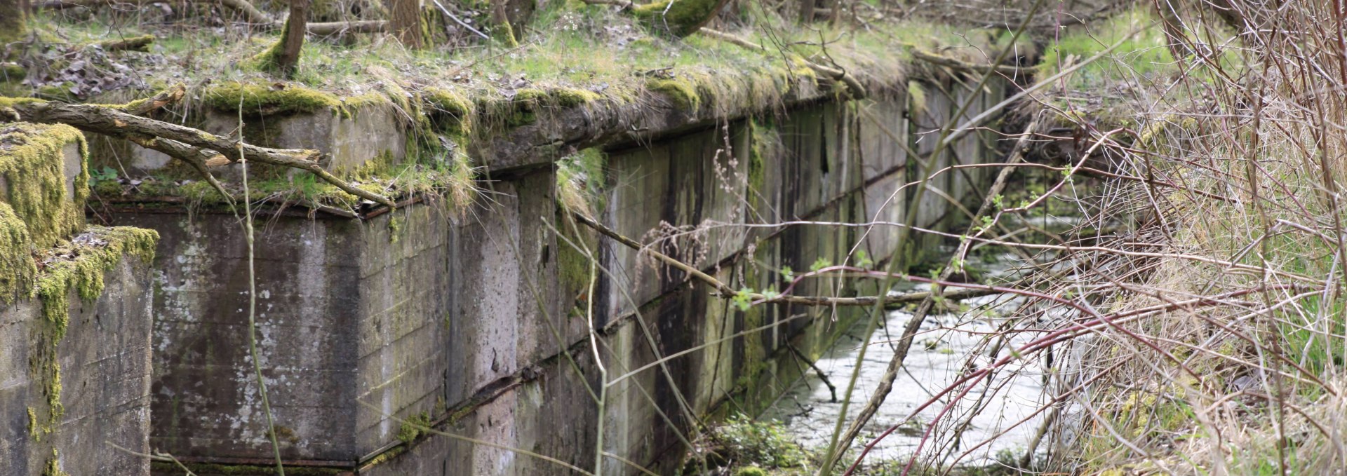 Ruin of the former hydrogenation works, © Pomorze Zachodnie