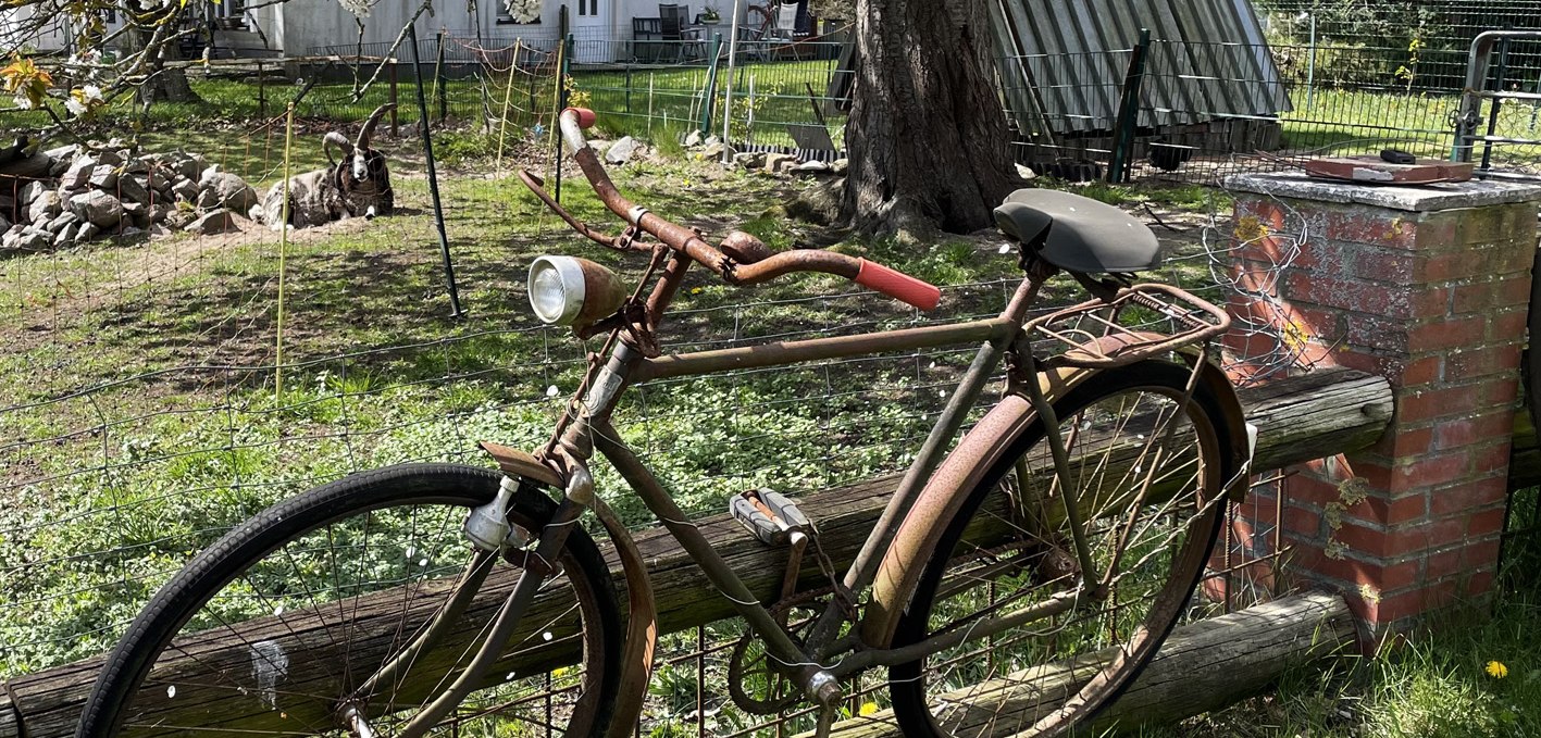 Bike 1, © Südliche Boddenküste