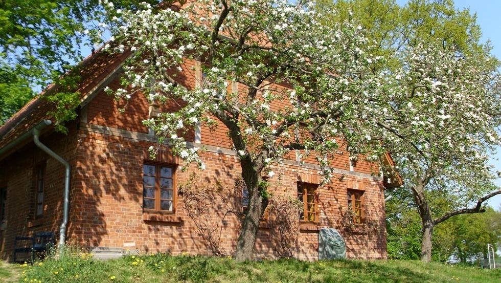 Not only at the apple blossom the farm invites you to stay, © Archiv, Biosphärenreservatsamt Schaalsee-Elbe