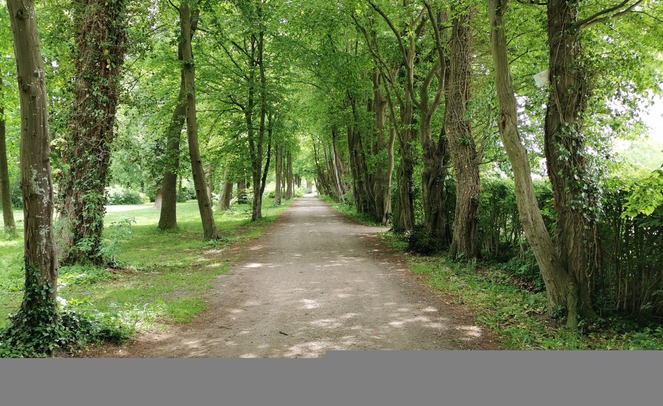 Avenue in the Teschow estate park, © E-Bike MV