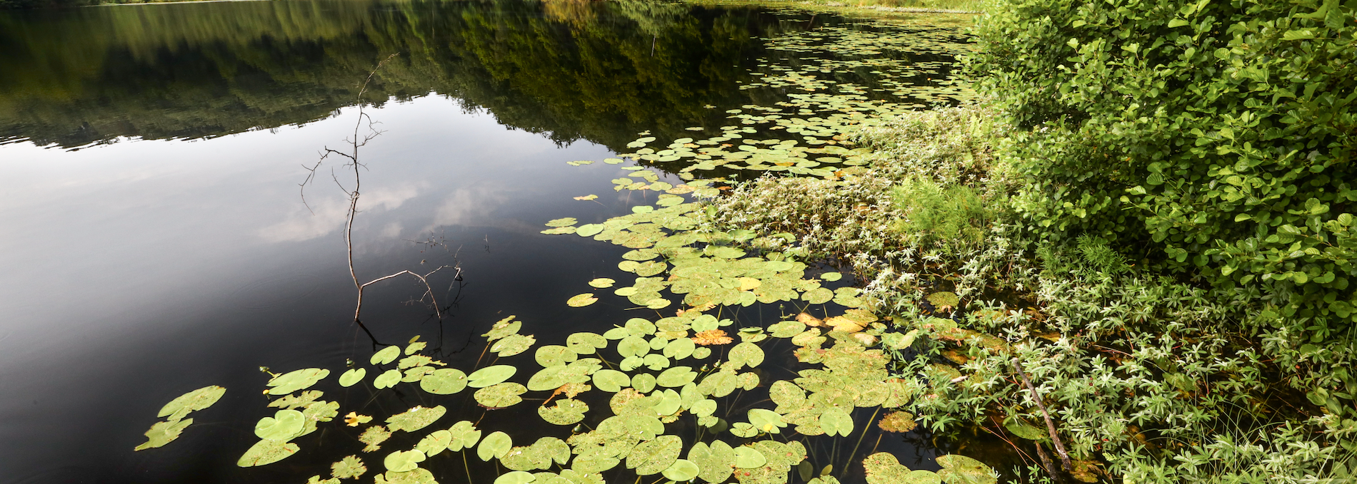 black-lake-in-the-granitz_4, © TMV/Gohlke