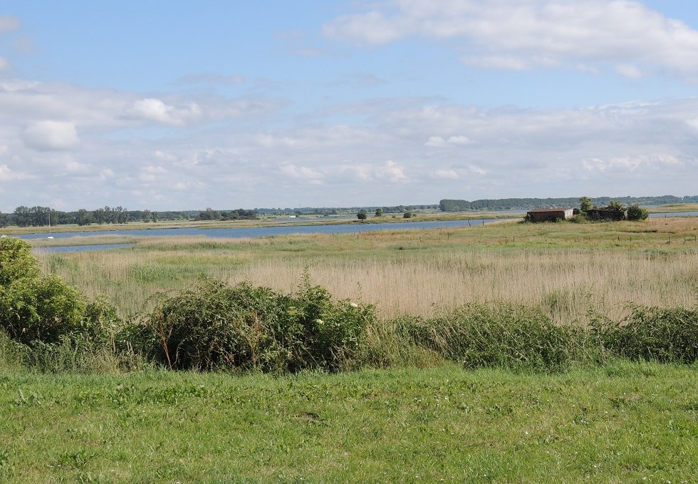 View of the salt marshes from the rest area, © Kurverwaltung Insel Poel