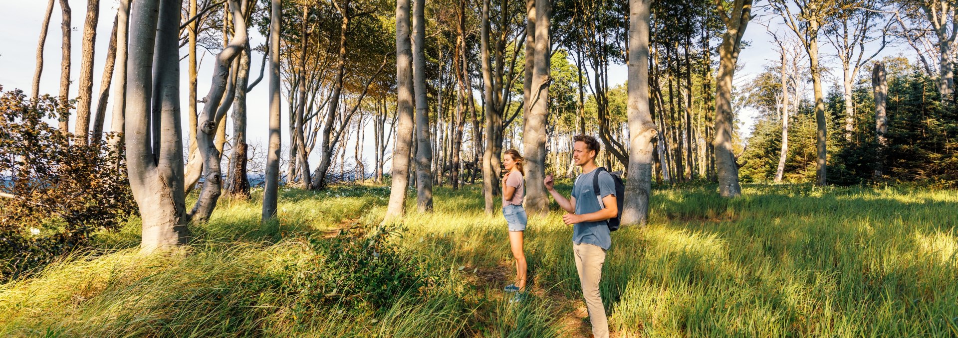 A man and a woman walk along a narrow path through the Rostock Heath, surrounded by tall, light-flooded beech trees and green grass.