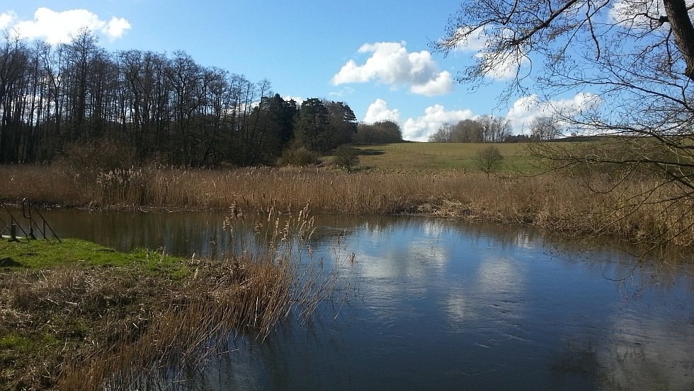 Between natural meadows and forest you can enjoy the unspoiled beauty of this landscape in peace., © TMV