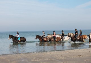 Horseback riding on the Bodden and Baltic Sea coast, © Reit- und Feriencamp Illner