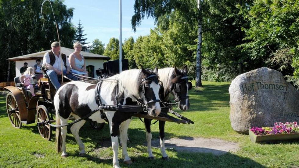 Start of the carriage ride, © Hof Thomsen