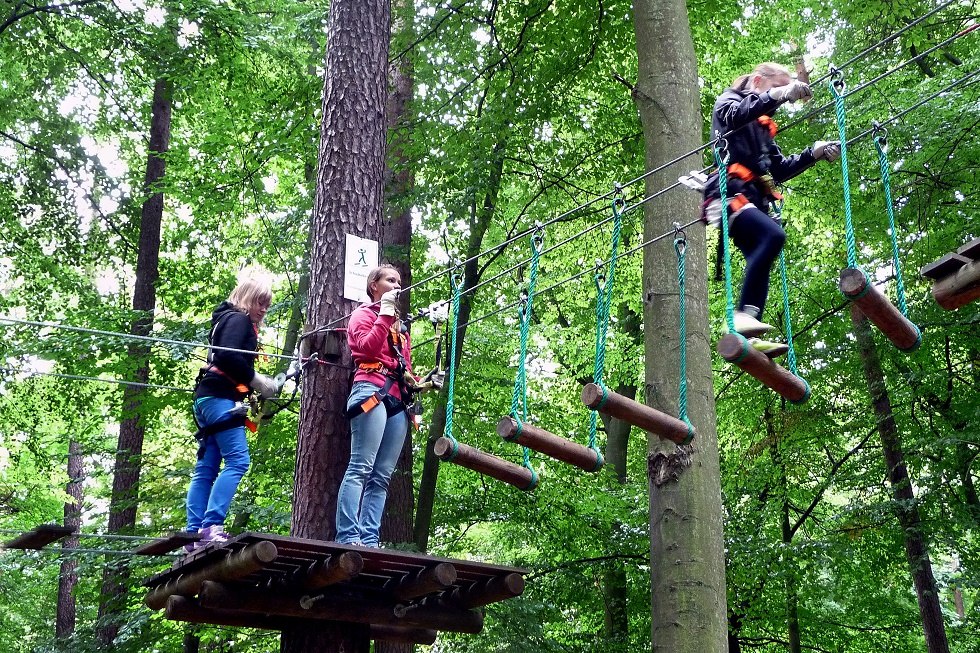 Climbing forest, © Sabrina Wittkopf-Schade