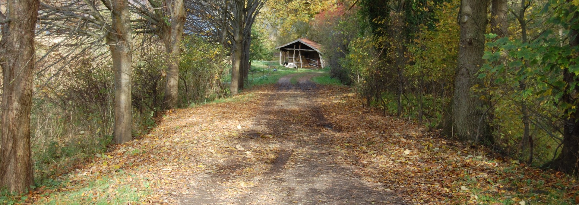 Inviting path to the Rhythmusreich Müggenwalde sculpture garden. It's worth it!, © Rhythmusreich / Thomas Reich