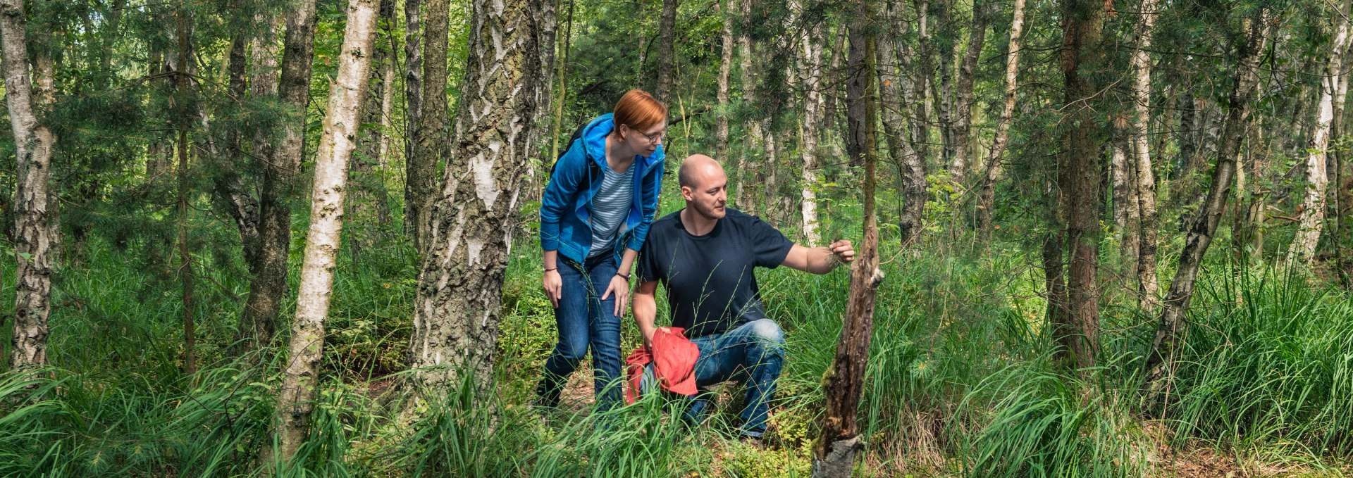 A man and a woman stand on the banks of a small body of water in the Ribnitz Great Moor, surrounded by dense birch trees and lush greenery. They are looking at the flora and the natural landscape.