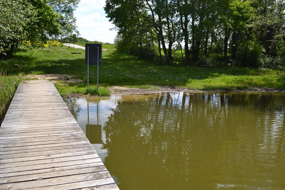 Bathing jetty overlooking the sunbathing lawn, © Lutz Werner