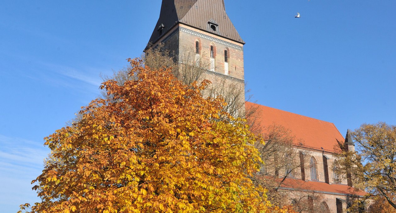 16_Ro_23_kirche-st. petri_04_1260x1920_(c) TZRW Joachim Kloock, © TZRW/Joachim Kloock