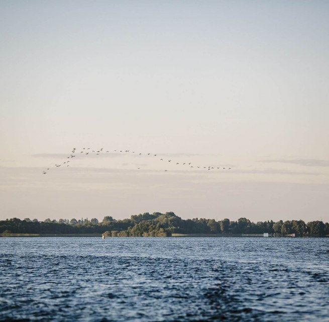 Experience nature at the Schaalsee, © TMV/Roth