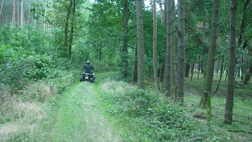 Quad bike tour through the forest, © TMV/Quad - Bike & Fun