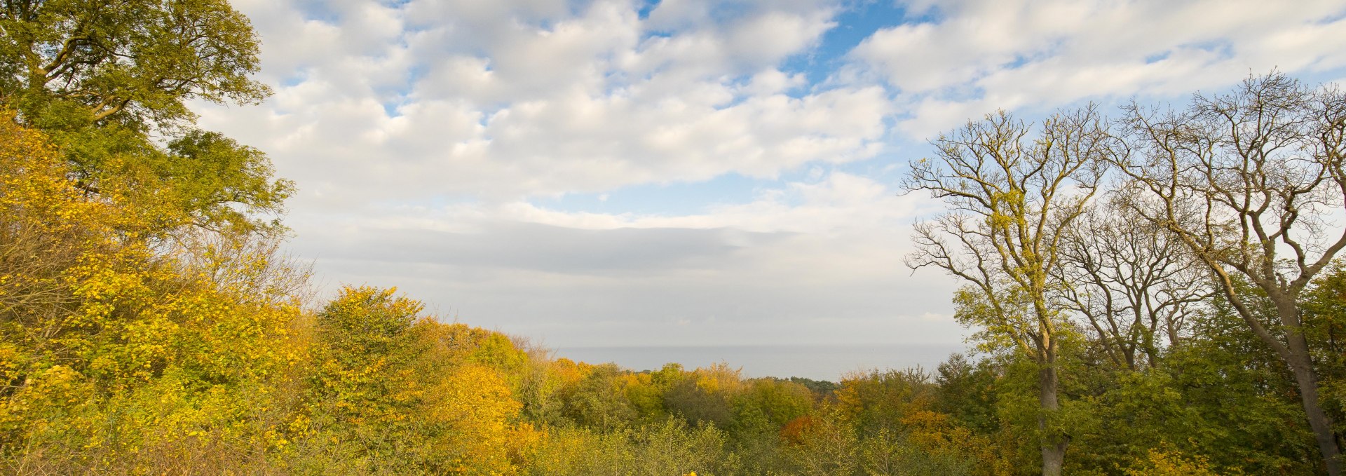 Leisurely fall walk (c) Goehren Martin Stoever 2016 _P5I5205, © Kurverwaltung Goehren / Martin Stoever