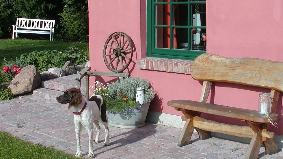 Our Münsterländer dog Cora in front of one of the vacation apartments, © Wittenberghof