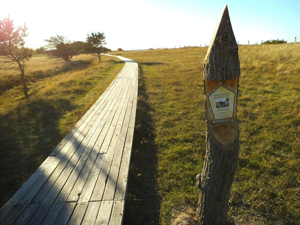 Nature reserve northwest shore Wittow and Kreptitz Heath, © Tourismuszentrale Rügen