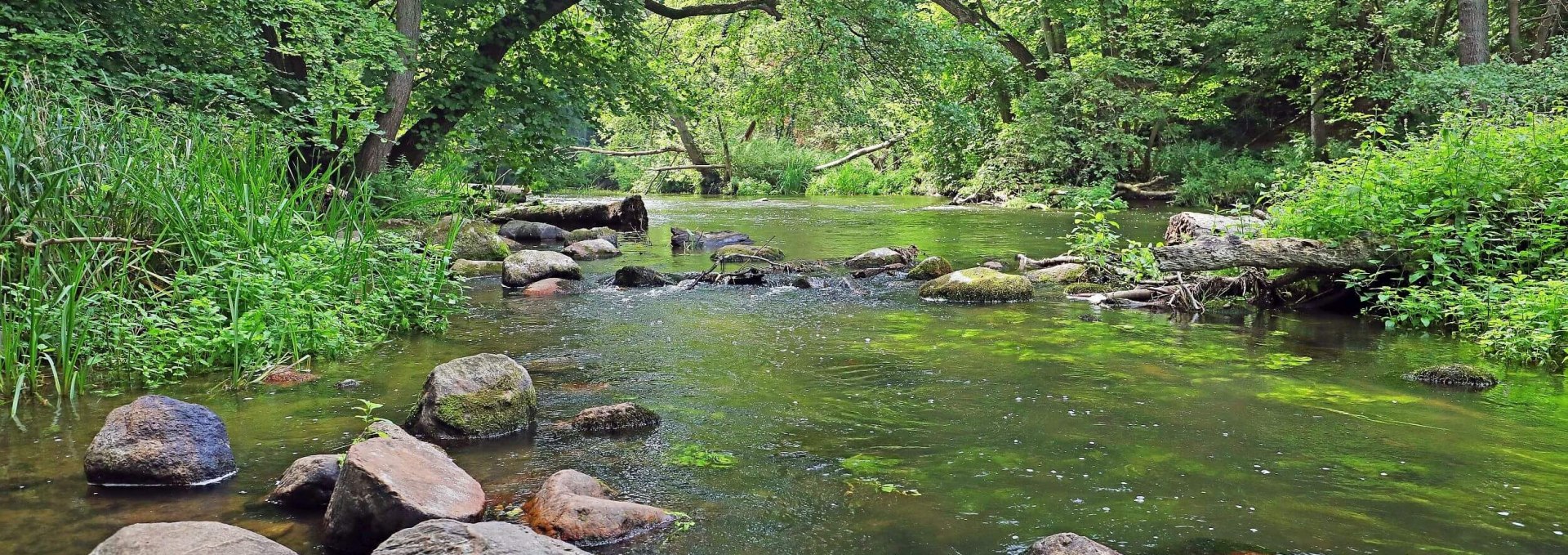 Breakthrough valley of the Warnow, © TMV/Gohlke