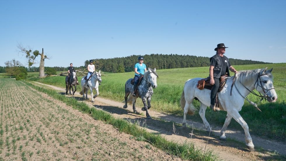 At a trot with Herian Stud through the Müritz National Park, © Michael Schauenberg