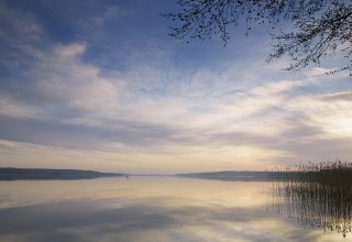 Nature breathes silence on the Tollensesee lake, © TMV/Grundner