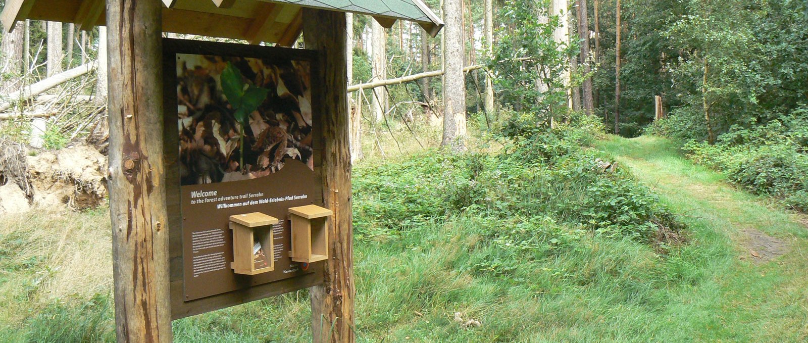 Information board of the forest adventure trail, © Nationalparkamt Müritz