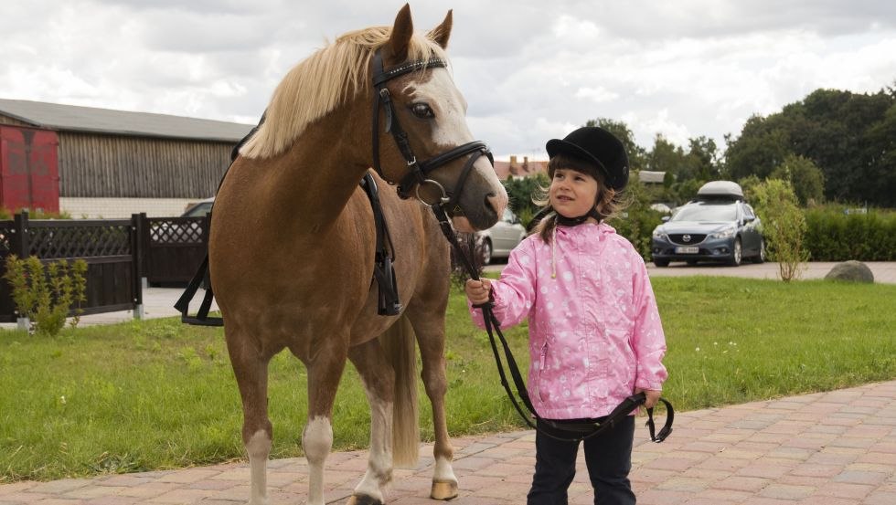 Horse lovers experience a paradise on the vacation farm Mirow, © Ferienhof Mirow/Mewes