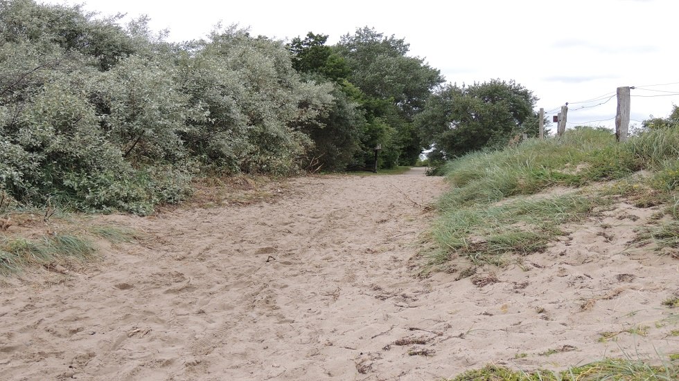 View way to the beach, © Kurverwaltung Insel Poel