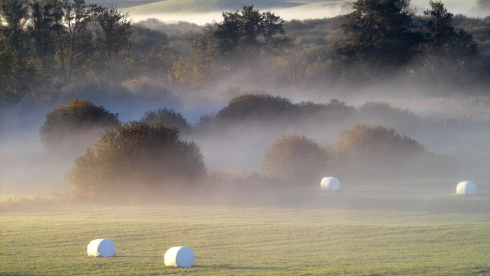 Romantically beautiful, in the morning enjoy the silence of nature and a fairy-tale view of the fields., © LANDURLAUB MV/Margit Wild