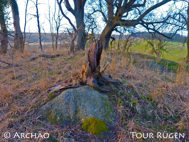 the megalithic tomb in the middle of a hill covered with trees, © Archäo Tour Rügen