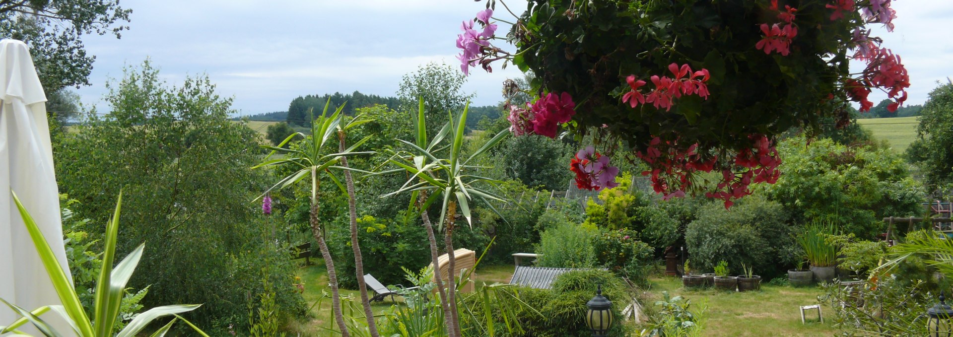 Plot View from the terrace 1, © Haustierpark Rambow / Peter Ramsch