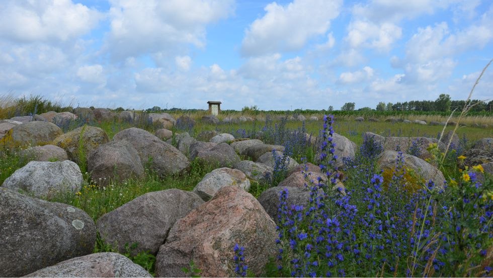 Erratic boulder garden Carwitz, © Bildautor: Kurverwaltung Feldberger Seenlandschaft