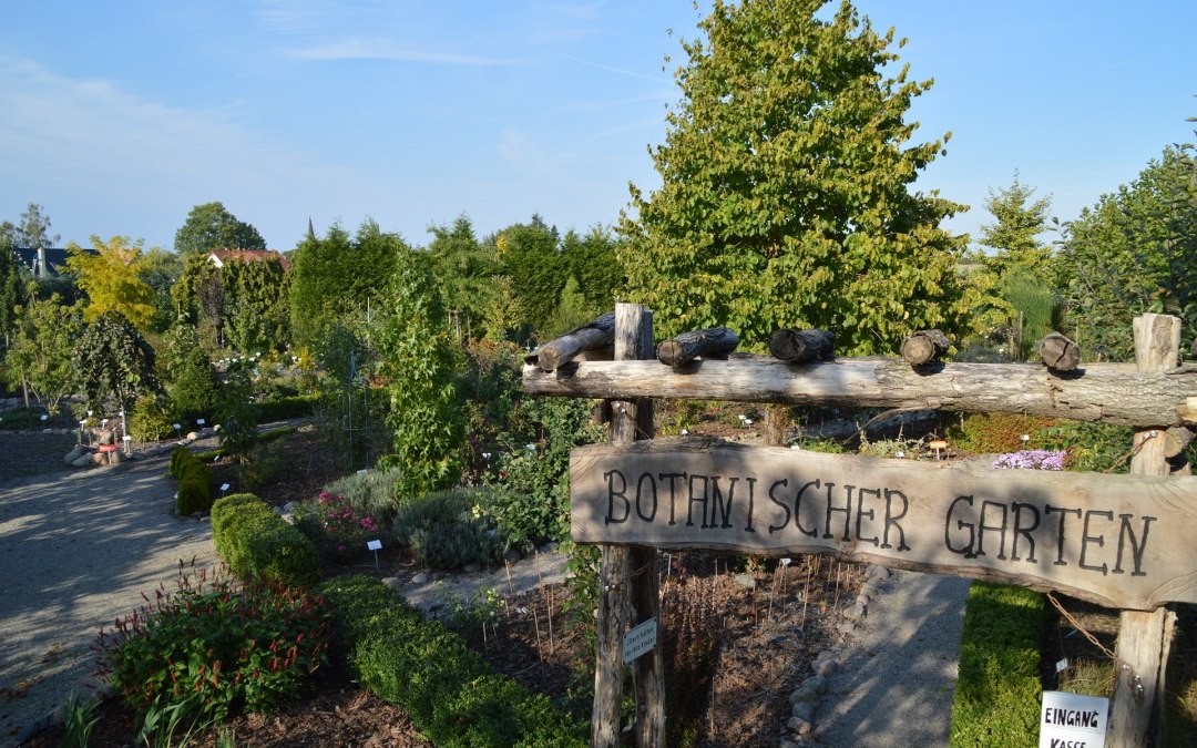 Entrance gate with a view of the front part of the botanical garden, © Kevin Hager (Baumschule Hager)