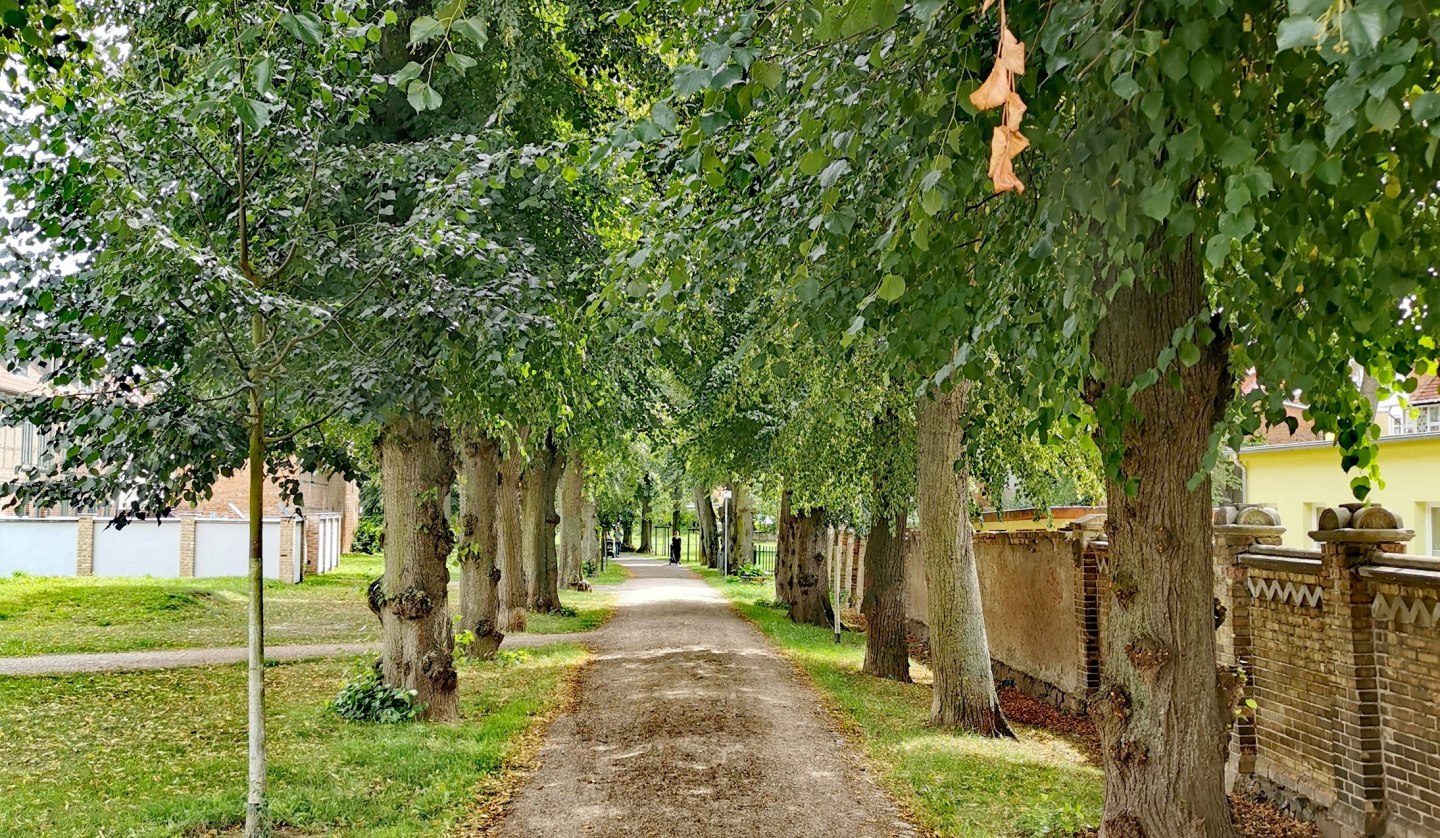 Alley near the Steintor Malchin, © E-Bike MV