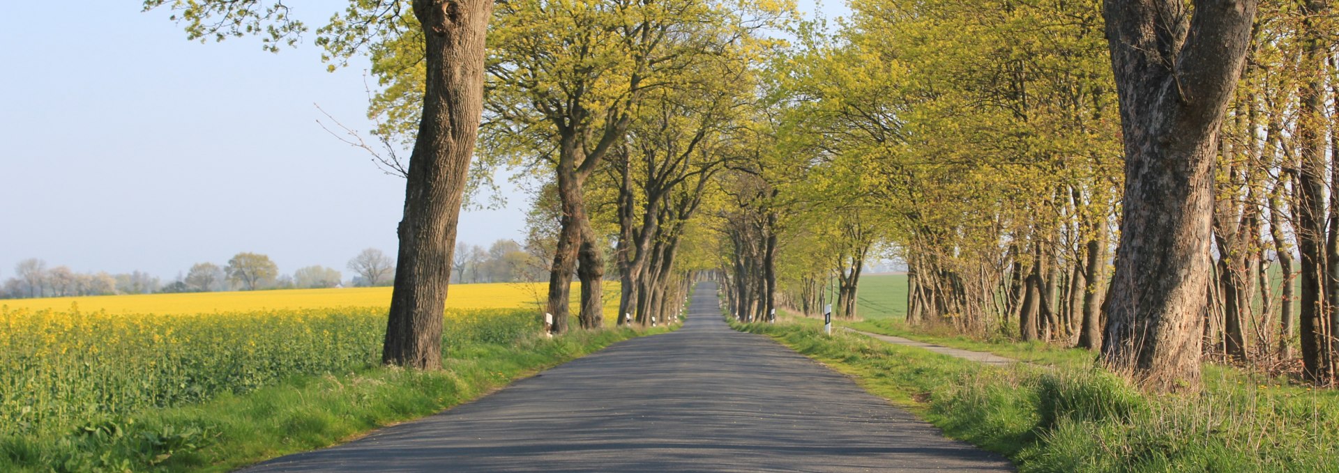 On the road in Vorpommern, © Tourismusverband Vorpommern e.V.