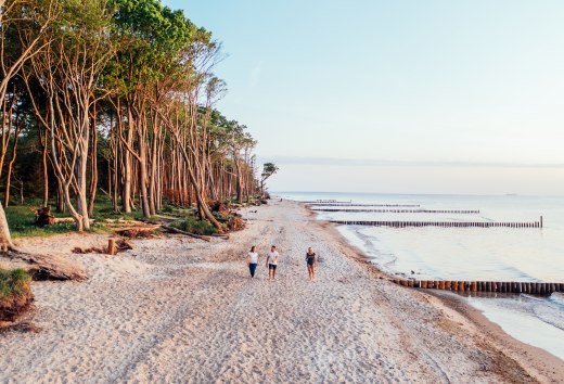 You could now walk all the way to Markgrafenheide., © TMV/Gänsicke