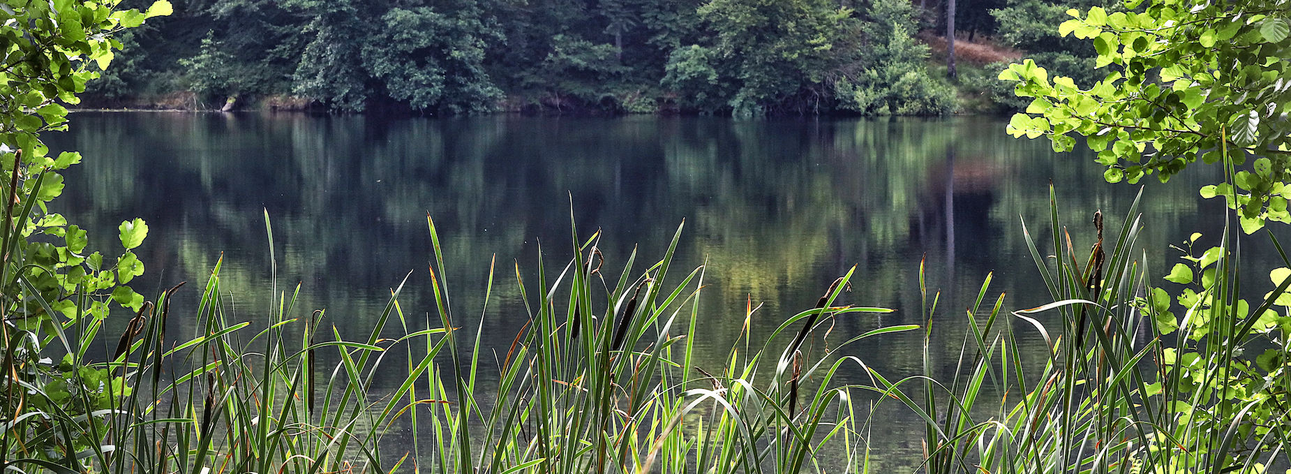 black-lake-in-the-granitz_2, © TMV/Gohlke