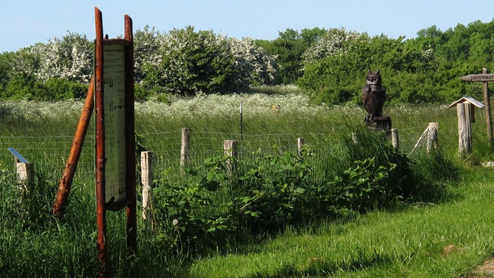 Information boards along the way inform about the ornithological importance of the Oie, © TMV