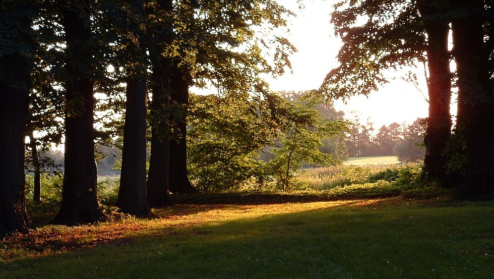 Sunrise in the park, © Barockschloß zu Griebenow e.V.