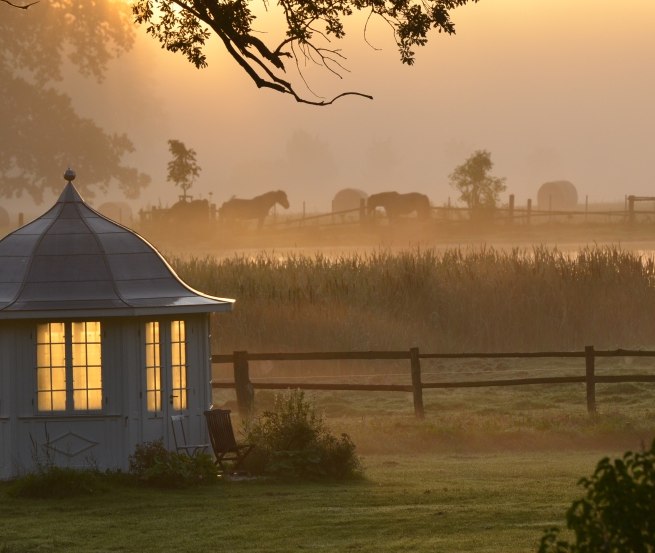 Impression of the morning atmosphere in Mecklenburg ParkLand, © Mecklenburger ParkLand/Feriengut Dalwitz