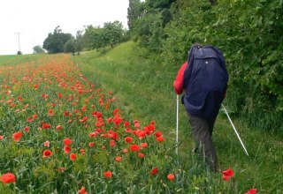 Wide land, so close to heaven - pilgrimage in Mecklenburg-Vorpommern, © Archiv Ev.-Luth. Kirchenkreis Mecklenburg