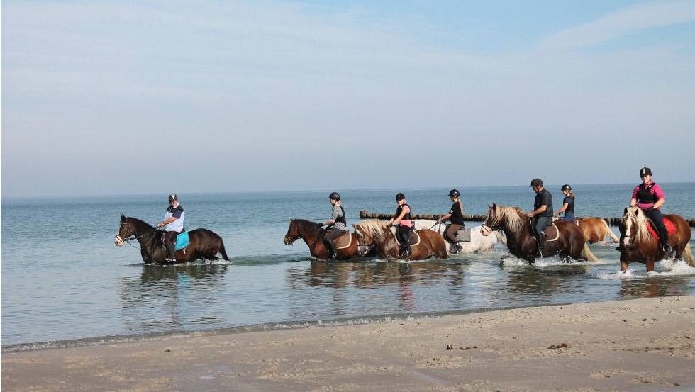 Horseback riding on the Bodden and Baltic Sea coast, © Reit- und Feriencamp Illner