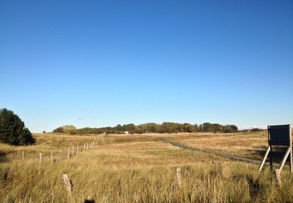 Nature reserve northwest shore Wittow and Kreptitz Heath, © Tourismuszentrale Rügen